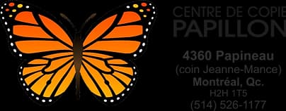 Papillon